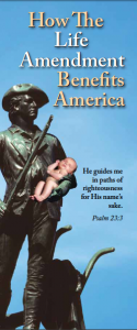 How the Life Amendment Benefits America booklet