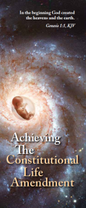 Achieving the Constitutional Life Amendment booklet